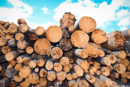 Stack of firewood with blue sky and white clouds backgroundの写真素材