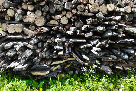 Green grass next to the stack of firewoodの写真素材