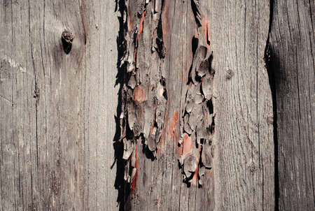 Rough unpolished unpainted wooden planksの写真素材