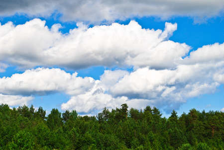 White storm clouds over the green forestの写真素材