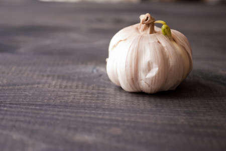 Whole garlic head with a large green shoot on brown wooden tableの写真素材