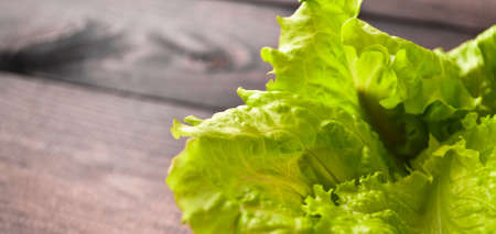 Lettuce salad on shabby rustic wooden backgroundの写真素材