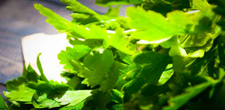 Bright fresh parsley on a piece of paper. CLose upの写真素材