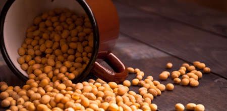 Soy beans in the rustic metal cup on wooden backgroundの写真素材