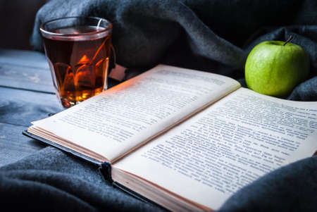 Pastime with reading a book and drinking tea on a winter dayの写真素材