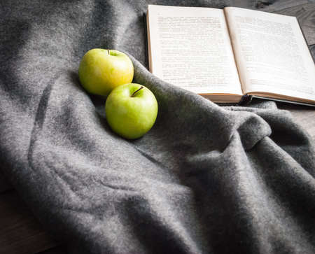 Pastime with reading a book on a winter dayの写真素材