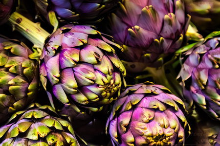 Fresh Artichoke Heads Arranged Beautifully, Showcasing Their Unique Shapes and Colorsの素材