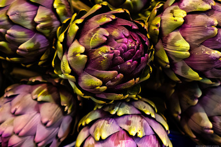 Close-up of Fresh Purple Artichokes on a Wooden Table, Showcasing Their Unique Texture and Colorの素材
