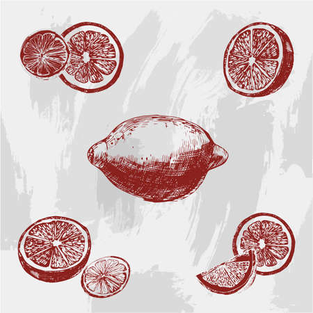 Vintage ink hand drawn lemon, isolated on grunge background.のイラスト素材