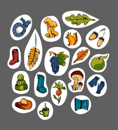 Automn stickers.Hat and mushroom, acorn and umbrella, pumpkin, grapes, rubber boots,squirrel,apple,cup,leaves,book.Set of different colorful elements.Hand drawn elements for your design.のイラスト素材