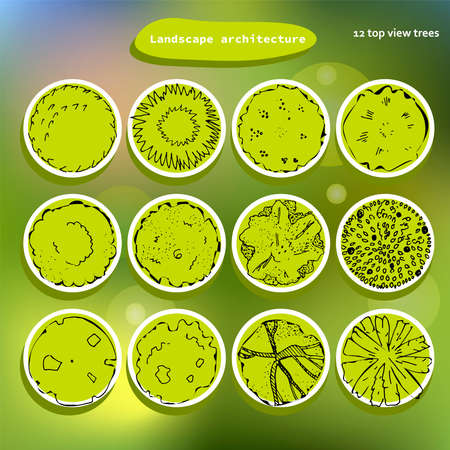 Top view vector set of different trees badges.Hand drawn illustration for landscape design, plan, maps.Collection of trees isolated on the blurred background.のイラスト素材