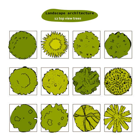 Top view vector set of different trees.Hand drawn illustration for landscape design, plan, maps.Collection of trees isolated on the white background.のイラスト素材