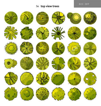 Top view big vector set of different trees.Hand drawn illustration for landscape design, plan, maps.Collection of trees, isolated on the white background.のイラスト素材