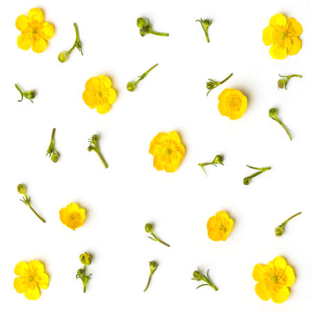 yellow flowers pattern isolated on white background.の写真素材