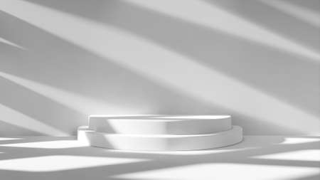 White and gray studio background.Clean room.3D image.の写真素材
