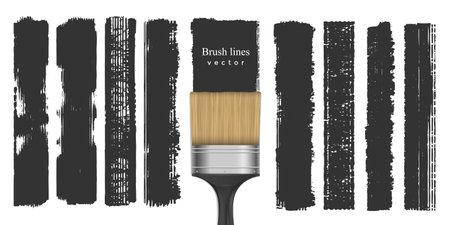 Set of grunge lines. Painting with a brush.Abstract paint stripes.Vector illustration.のイラスト素材
