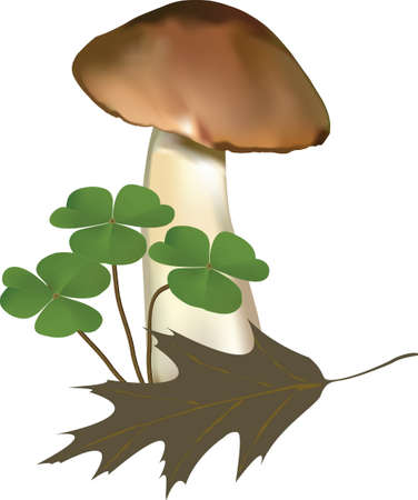 Vector illustration of a mushroom with a dry leaf and plants. The picture was created using meshes and gradients.のイラスト素材