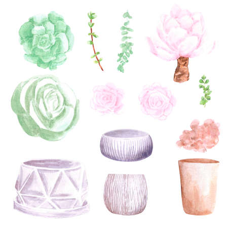 Succulent plants, small and big pots on white Background. Hand drawn watercolor set. Botanical delicate illustration. Scrapbook design elements. Typography poster, card, label, banner design.の写真素材