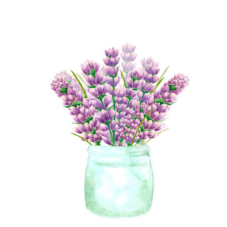 Handdrawn lavender flowers in vaseの写真素材