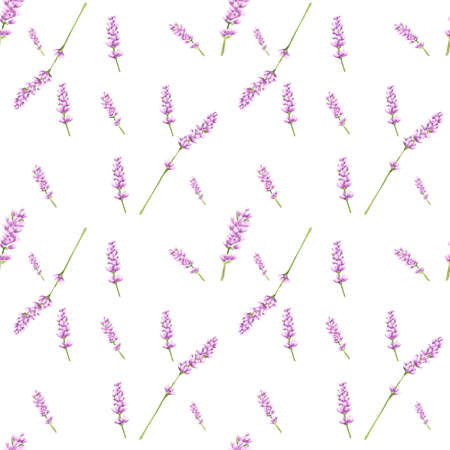 Handdrawn lavender flowers seamless pattern. Watercolor purple lavender on the white background. Scrapbook design, typography poster, label, banner, textileの写真素材