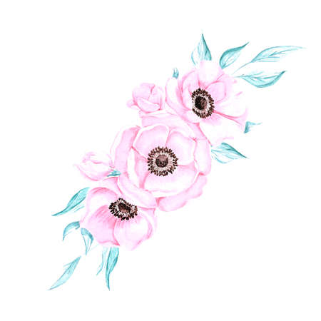 Handdrawn anemone composition. Watercolor wind flower on the white background. Scrapbook design elements. Typography poster, card, label, bannerの写真素材