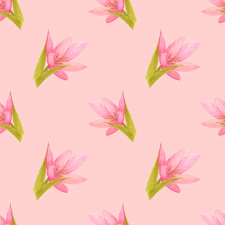 Handdrawn lily seamless pattern. Watercolor pink lily with green leaves on the pink background. Scrapbook design elements. Typography poster, label, banner design set, textileの写真素材