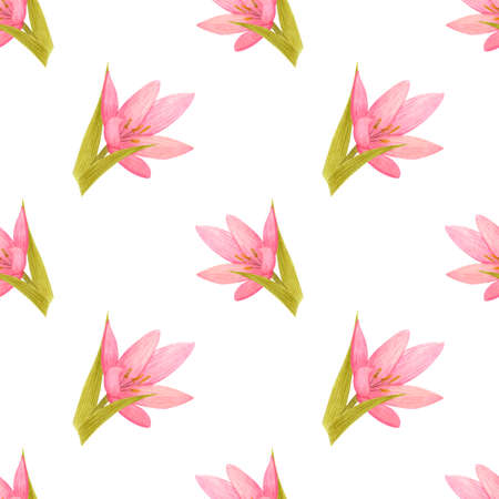 Handdrawn lily seamless pattern. Watercolor pink lily with green leaves on the white background. Scrapbook design elements. Typography poster, label, banner design set, textileの写真素材