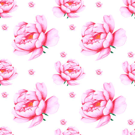 Handdrawn peony flowers seamless pattern. Watercolor pink peonies on the white background. Scrapbook design, typography poster, label, banner, textileの写真素材