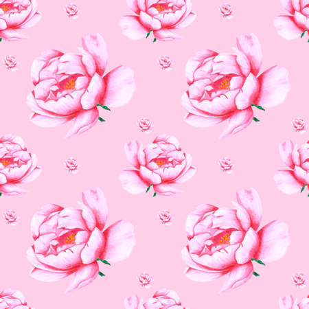 Handdrawn peony flowers seamless pattern. Watercolor pink peonies on the pink background. Scrapbook design, typography poster, label, banner, textileの写真素材