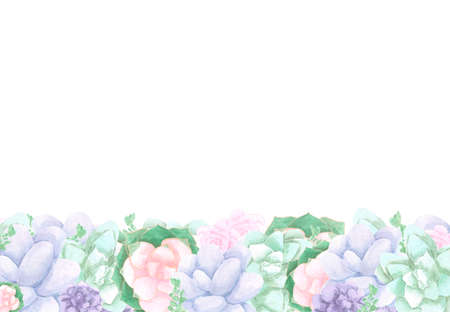 Succulent plants frame boarder on white Background. Hand drawn Watercolor set. Botanical delicate illustration. Scrapbook design elements. Typography poster, card, label, banner design.の写真素材