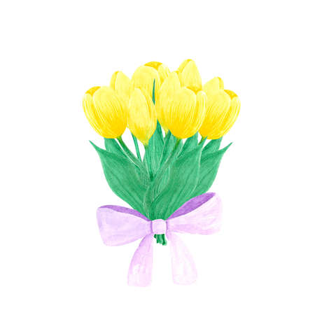 Yellow tulips bouquet on whute Background. Hand drawn Watercolor set. Botanical delicate illustration. Scrapbook design elements. Typography poster, card, label, banner design.の写真素材