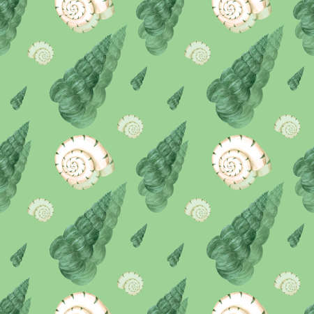Hand drawn Watercolor seashells pattern on the green background. Scrapbook design elements. Typography poster, wedding invitation, postcard, label, banner designの写真素材