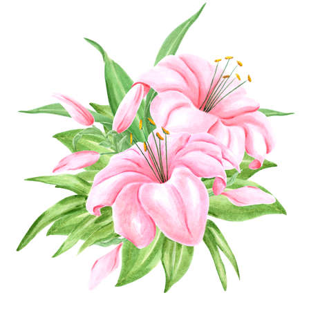 Handdrawn Watercolor pink lily flower bouquet with green leaves on the white background. Scrapbook design, typography poster, label, banner, post cardの写真素材