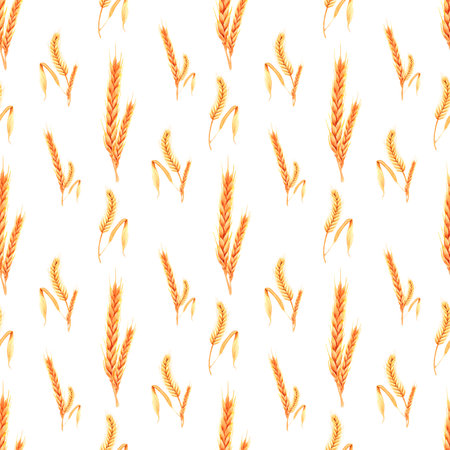 Hand drawn watercolor yellow dry spike seamless pattern on white background. Scrapbook design, typography poster, label, bannerの写真素材