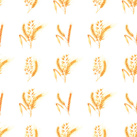 Hand drawn watercolor yellow dry spike seamless pattern on white background. Scrapbook design, typography poster, label, bannerの写真素材