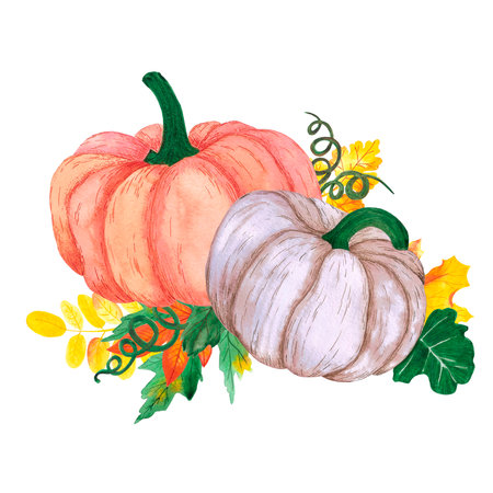 Hand drawn watercolor pumpkin and leaves composition on white background. Thanksgiving Scrapbook design, typography poster, label, bannerの写真素材
