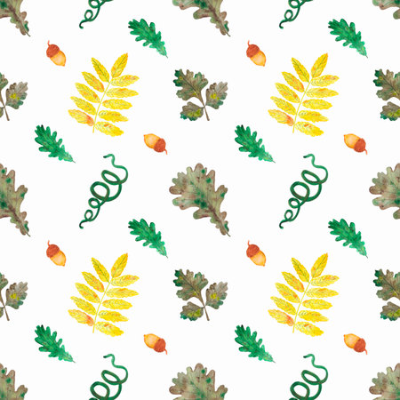 Hand drawn watercolor autumn leaves seamless pattern on white background. Can be used for textile, Scrapbook design, bannerの写真素材