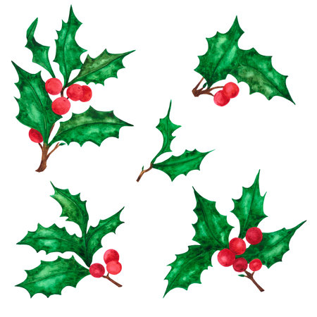 Hand drawn watercolor holly twig. Christmass and New Year symbol, decorative element. Scrapbook design, typography poster, label, banner, post cardの写真素材