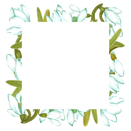 Hand drawn watercolor snowdrop flowers and leaves frame boarder on white background. Can be used for textile, Scrapbook design, banner, greeting card, invitationの写真素材