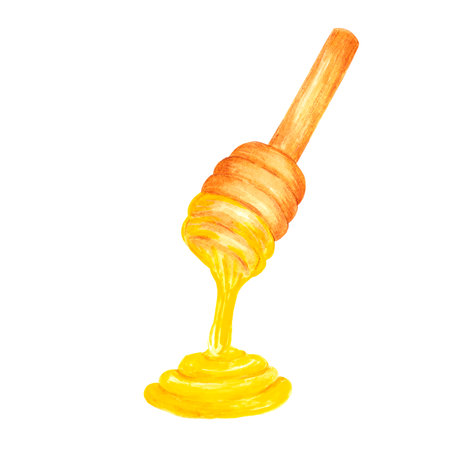 Hand drawn watercolor wooden honey spoon on white background. Scrapbook design, typography poster, label, bannerの写真素材