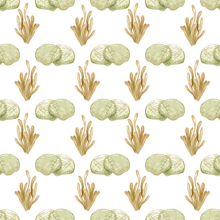 Hand drawn watercolor seashells and seaweed seamless pattern isolated on white background. Scrapbook, post card, textile, fabricの写真素材