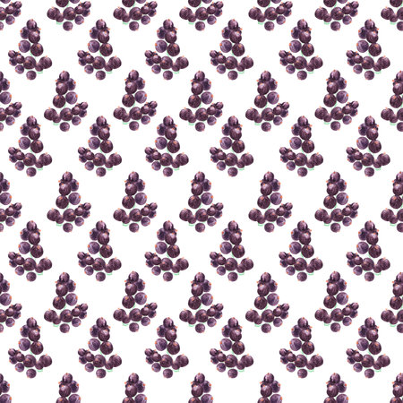 Hand drawn watercolor black currant seamless pattern on white background. Gift-wrapping, banner, textile fabric, wallpaperの写真素材