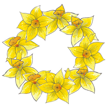 Hand drawn watercolor yellow daffodil wreath. isolated on white background. Scrapbook, post card, banner, labelの写真素材