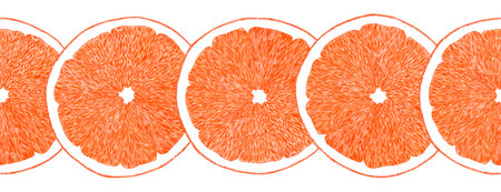 Hand drawn watercolor orange lemon grapefruit with green leaves seamless boarder on white...