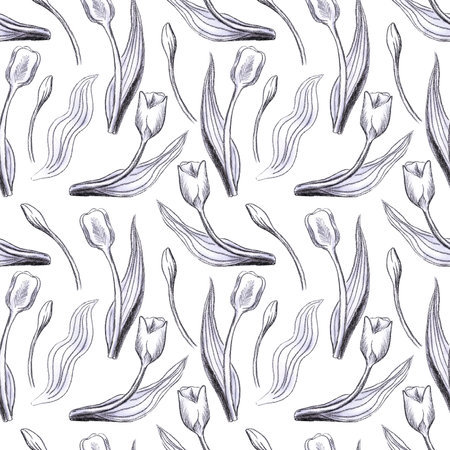 Hand drawn black pencil tulips, buds and leaves seamless pattern isolated on white background. Can be used for textile, fabric, wallpaper and gift-wrappingの写真素材