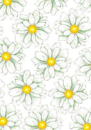 Hand drawn watercolor chamomile frame isolated on white background. Can be used for print, postcard, poster, book decoration and other products printedの写真素材