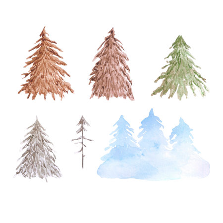 Hand drawn watercolor fir trees isolated on white background. Can be used for post card, label and other printed productsの写真素材
