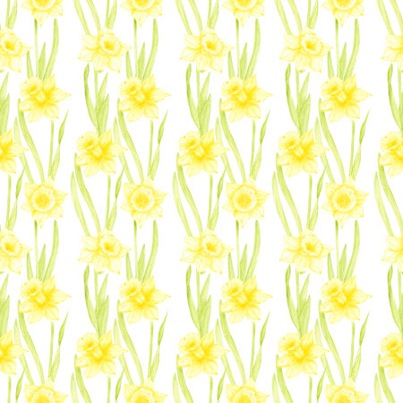 Hand drawn watercolor daffodil flowers seamless pattern isolated on white background. Can be used for textile, scrapbook and other printed productsの写真素材