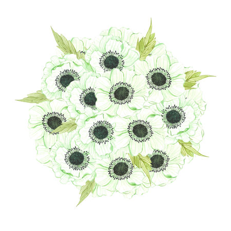 Hand drawn watercolor white and green anemone flowers bouquet with leaves isolated on white background. Can be used for post card, poster and other printed productsの写真素材