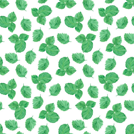 Hand drawn watercolor strawberry leaves seamless pattern isolated on white background. Can be used for textile, fabric and other printed productsの写真素材